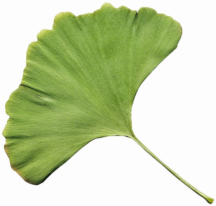 Varicone KREMA
